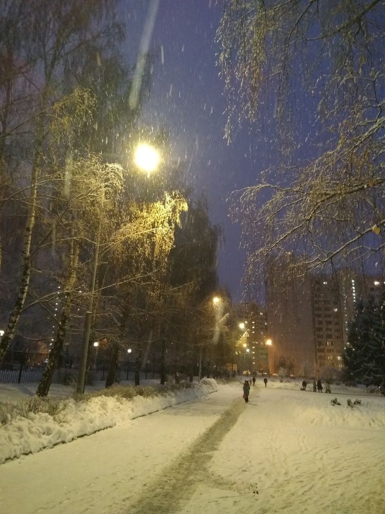 Фотография автора Александр Цыпкин