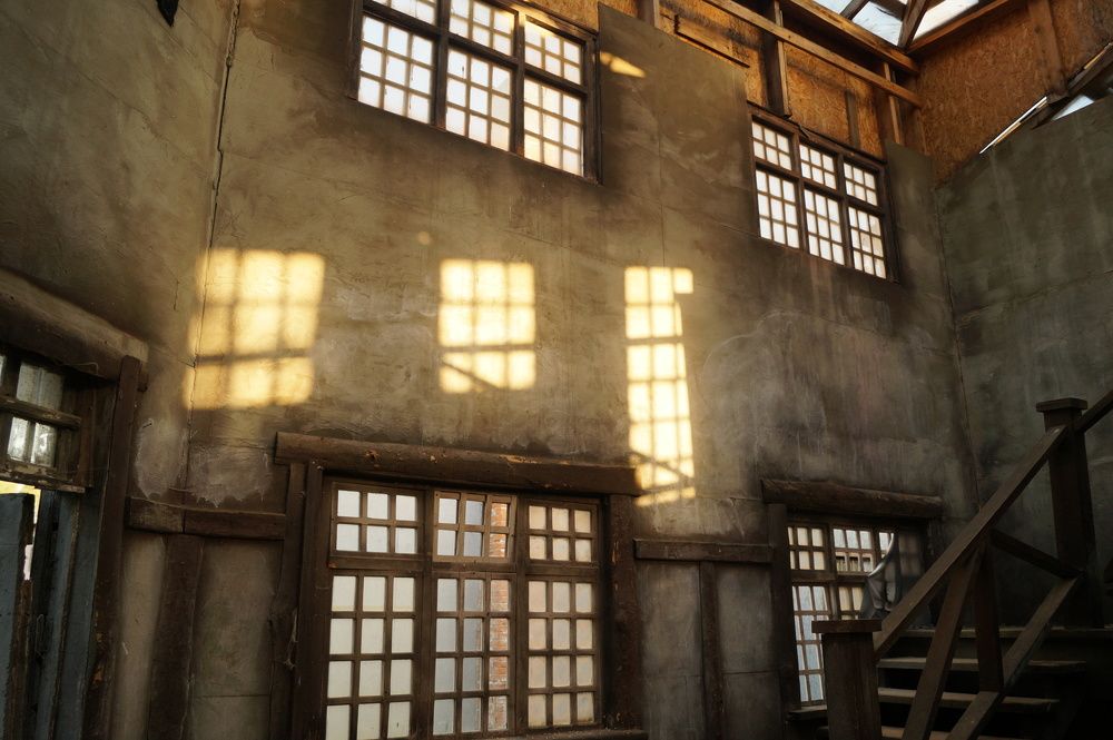 Солнечные зайчики