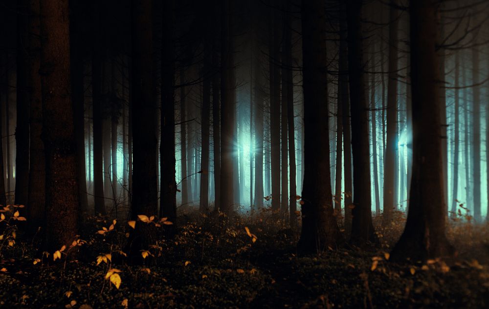 Photograph by Александр Фанковин