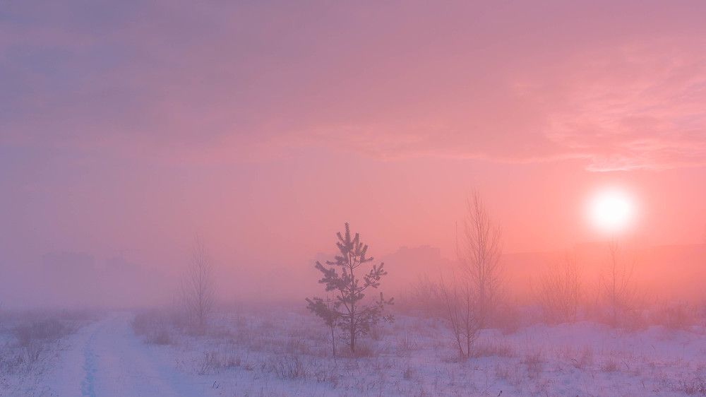 Зимнее утро