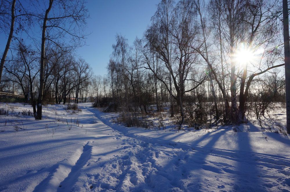 Мороз и солнце