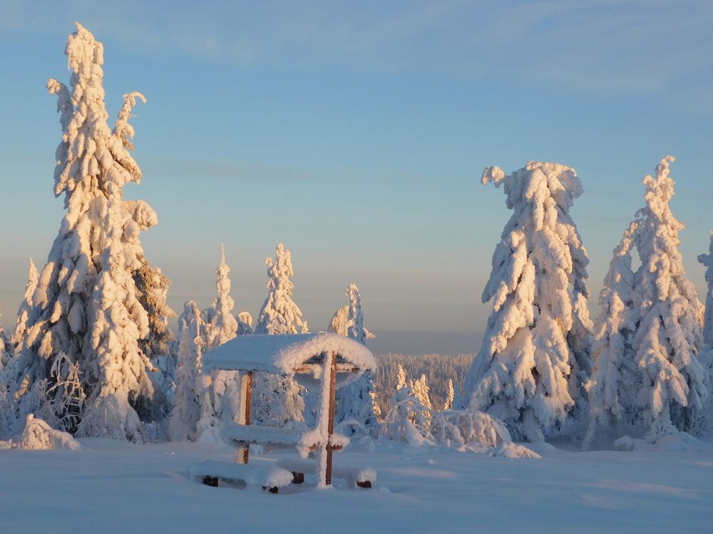 Photograph by Чкареули Светлана