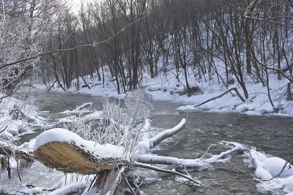 Photograph by Сергей Алексеев