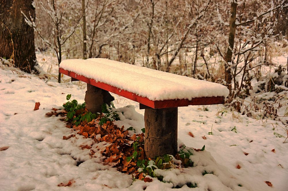 Зимний парк