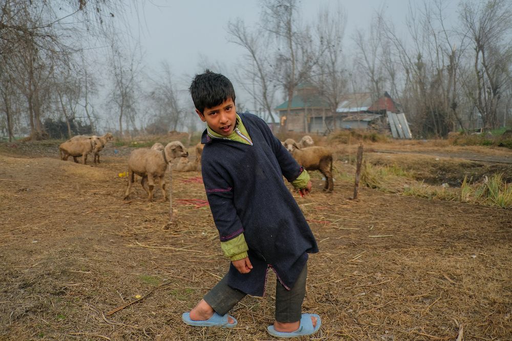 the sub-zero temperatures