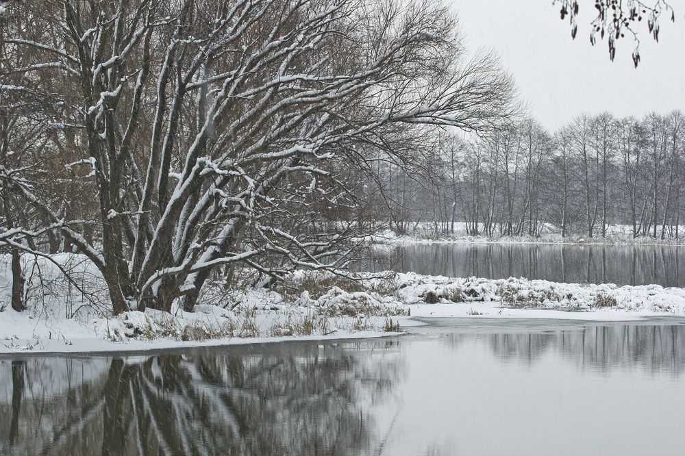 Photograph by Сергей Алексеев