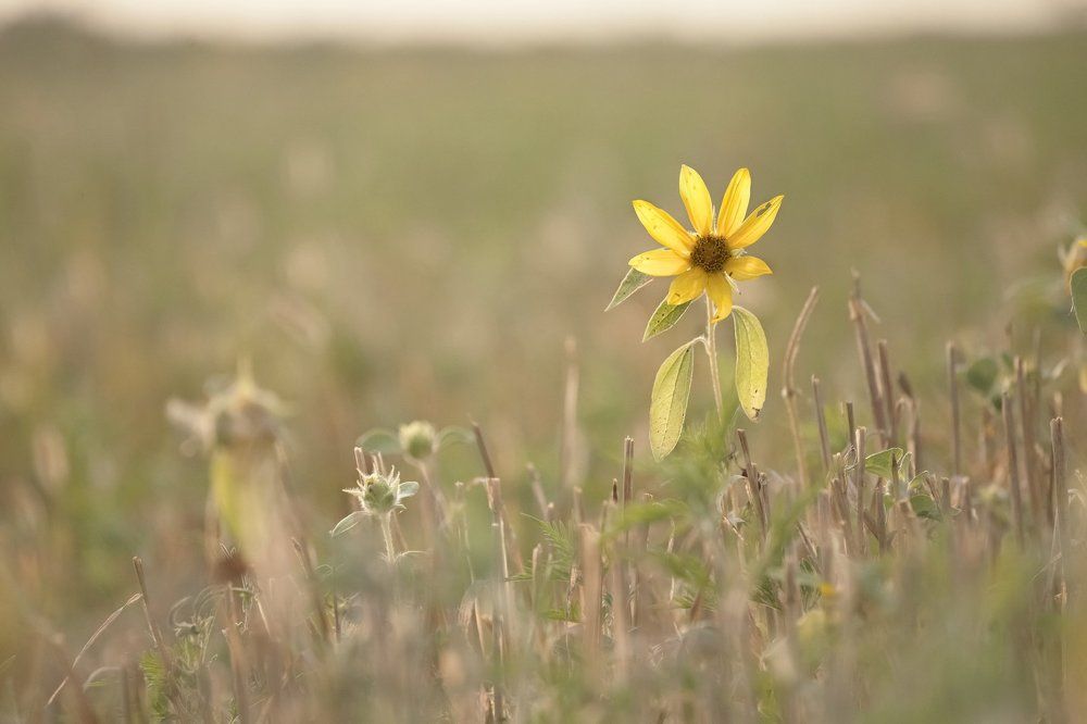 Photograph by Станкевич Анечка