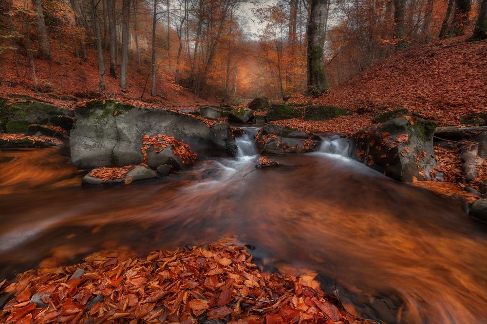 Круговорот листвы в природе ..