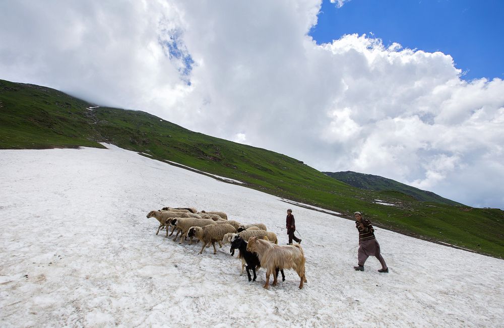 Kashmiri nomadic way of life