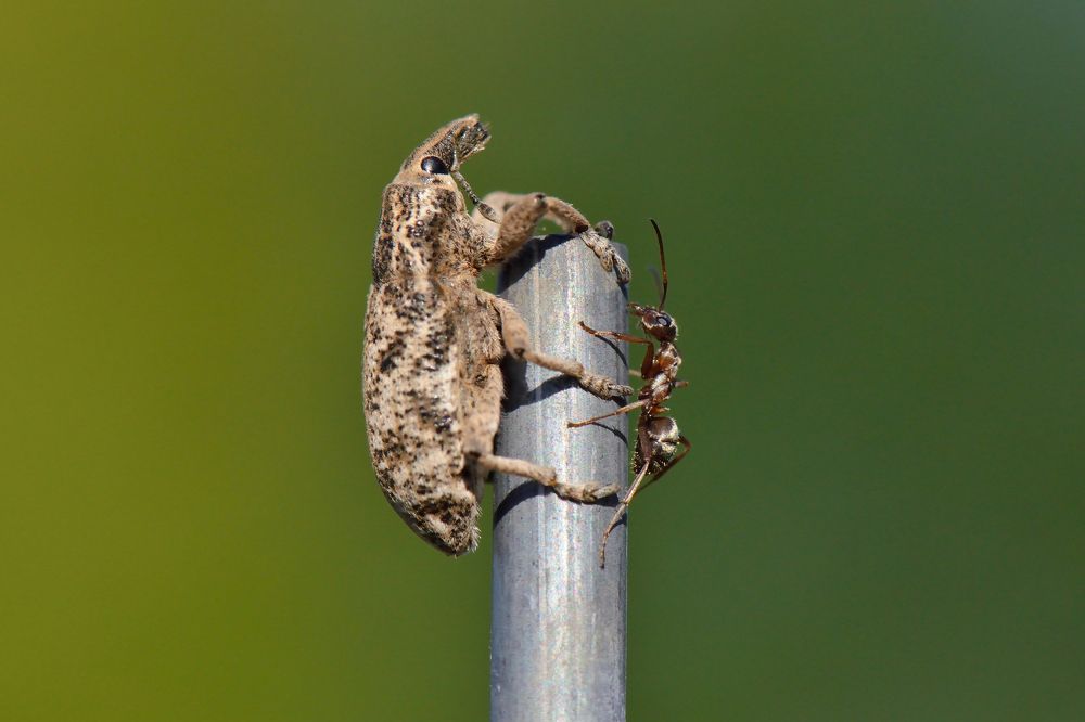 Photograph by Людмила Шалина