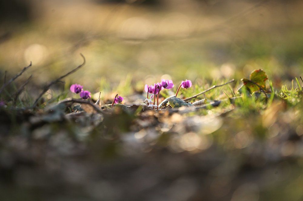 Photograph by Станкевич Анечка