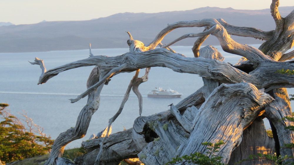 ATRAPADOS EN EN CANAL