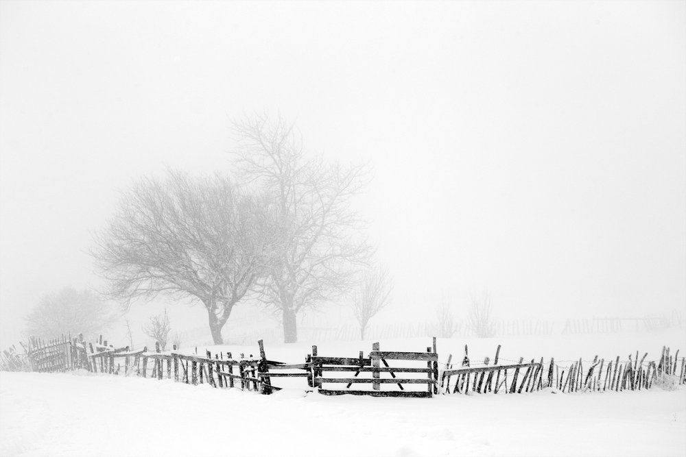 Photograph by Dzintra Zvagina