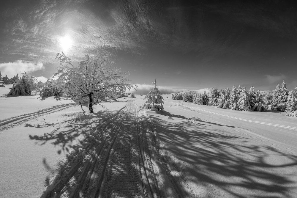 Тень и свет