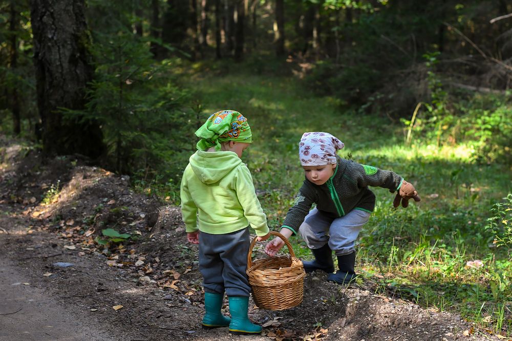 За грибами
