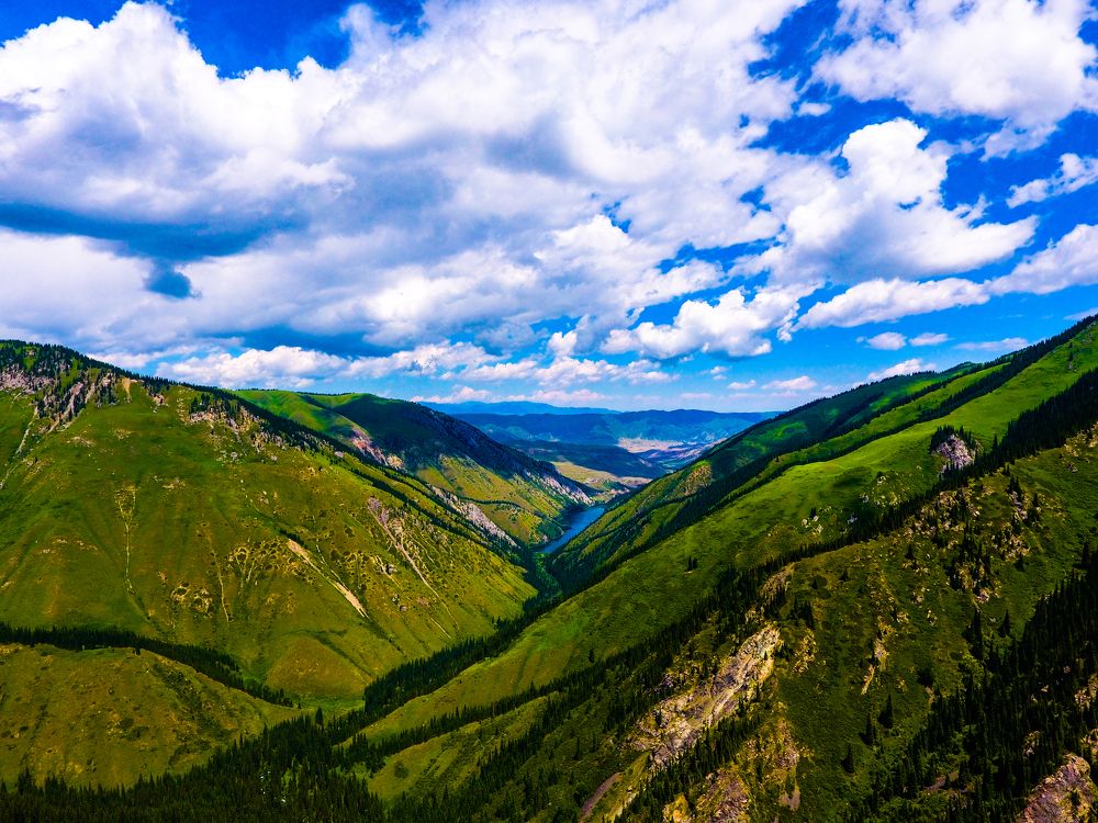 Photograph by yakov