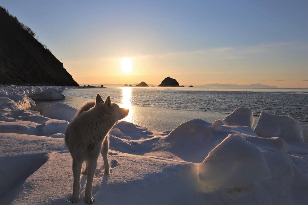 Ранним утром