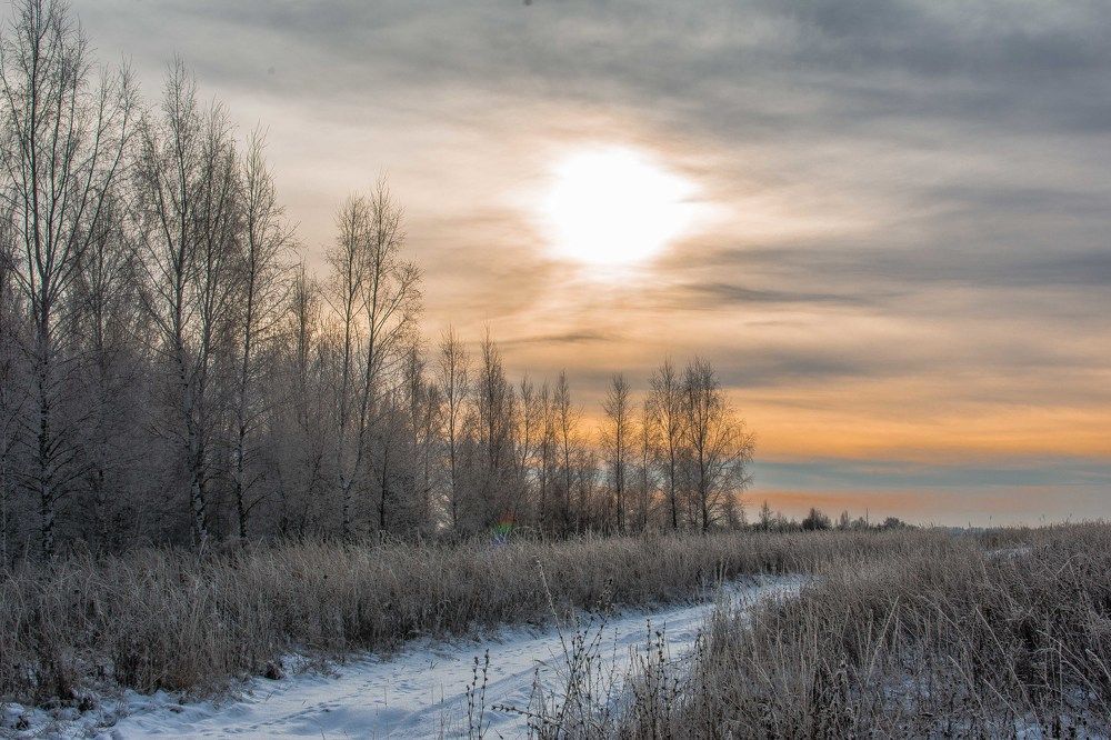 Photograph by Дмитрий Жижин