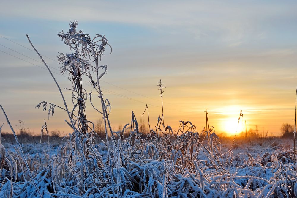 Закат в зимнем поле