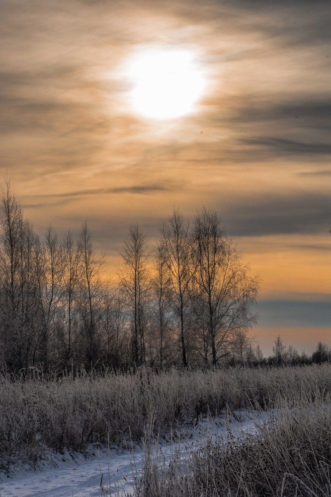 Photograph by Дмитрий Жижин