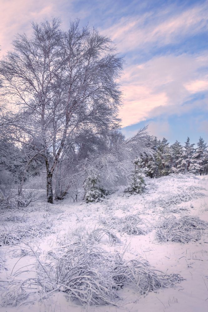 Розово-голубая