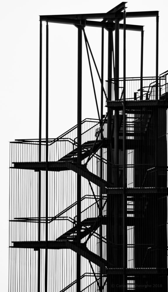 Black lines - white lines