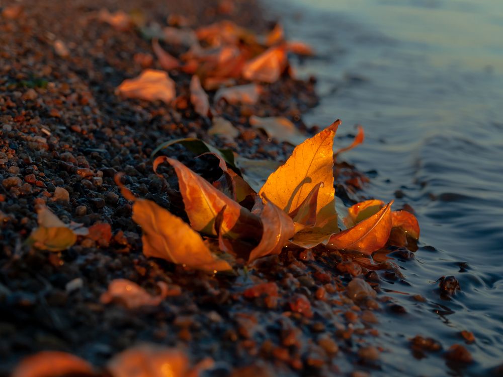 Photograph by Ольга Баронина