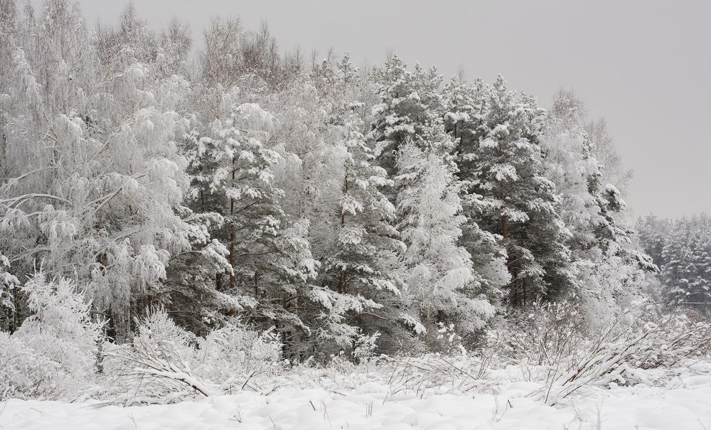 русская сказка 2