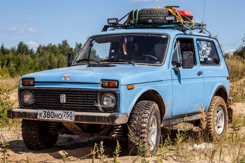 Синяя птица