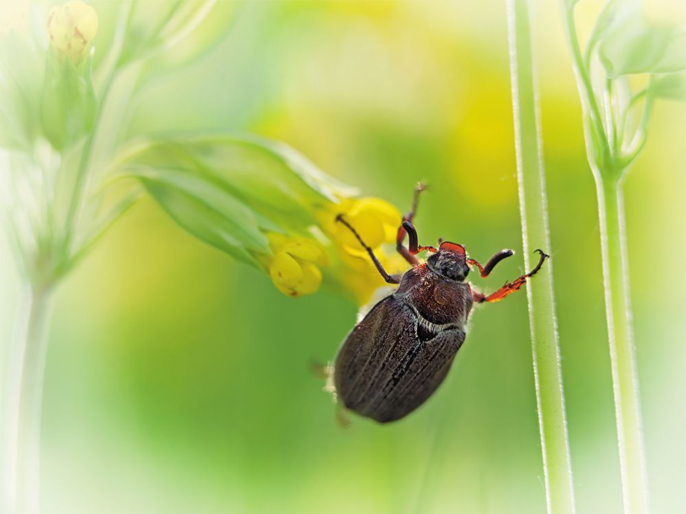 Утренняя гимнастика