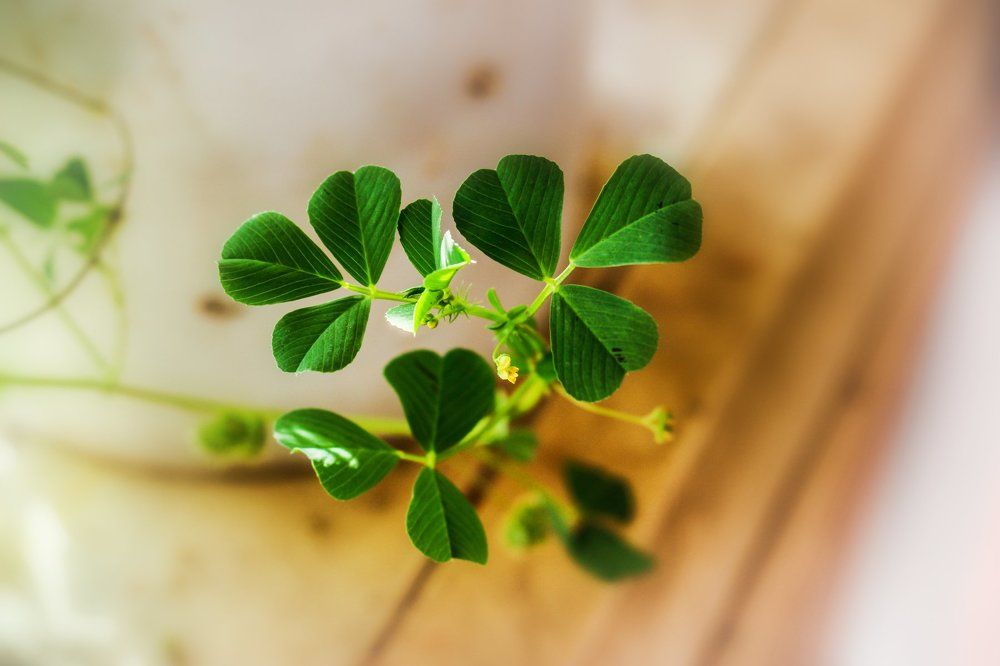 Photograph by Shuhrat Djuraev