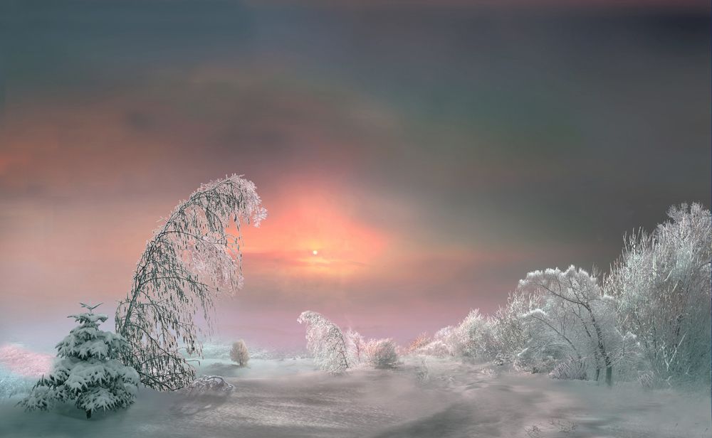 Розовый закат