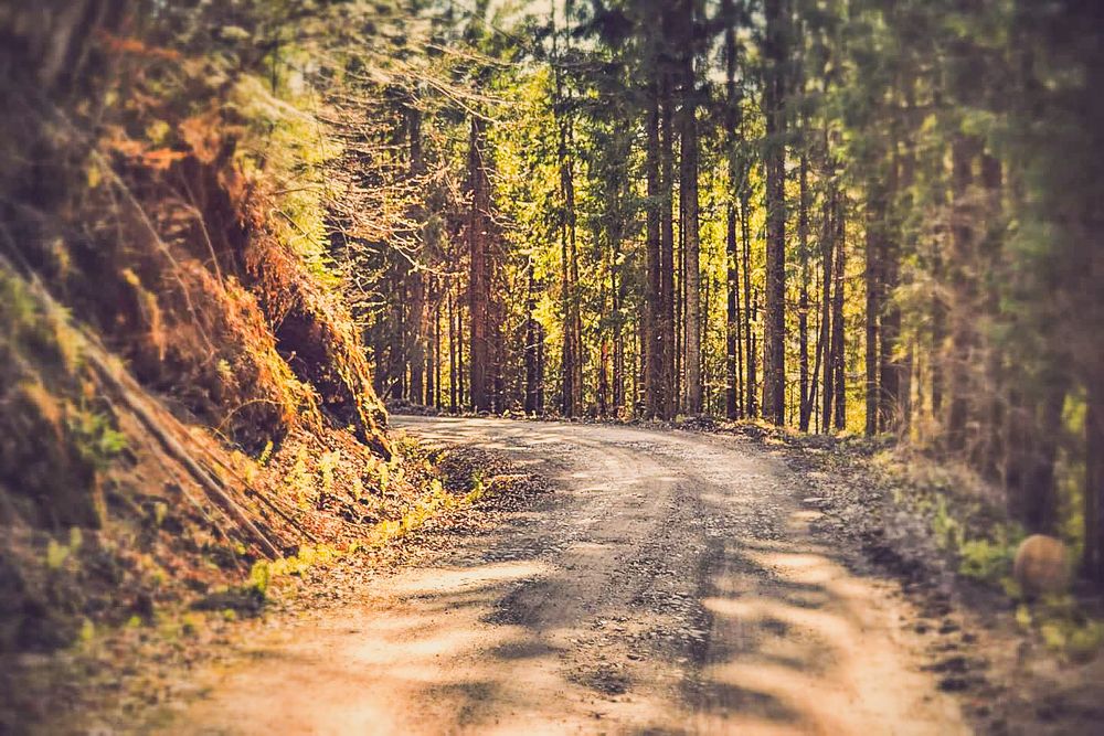 The beauty of the nature