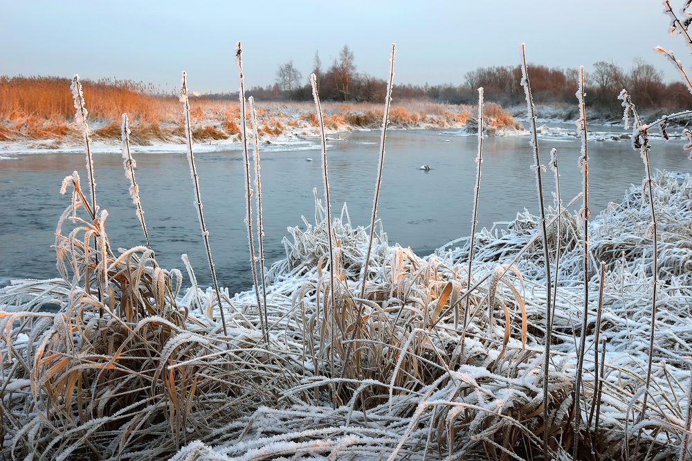 Иней на сухой траве