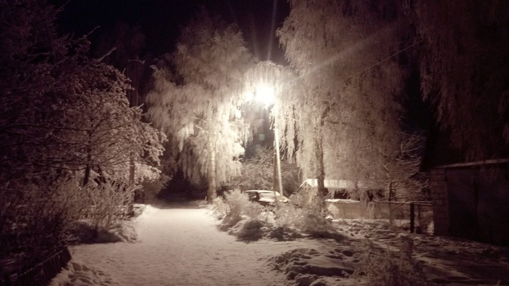 Зимний блеск