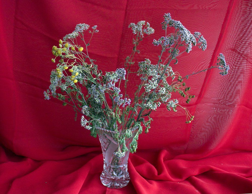 И цветы и лекарство