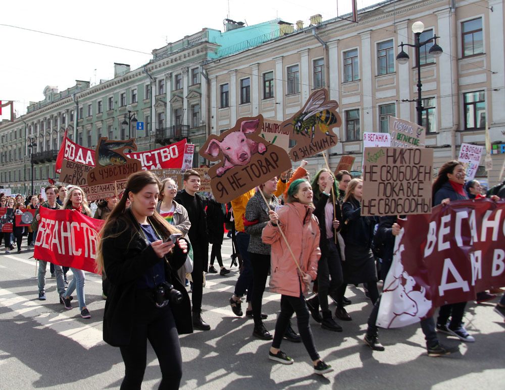 На празднике