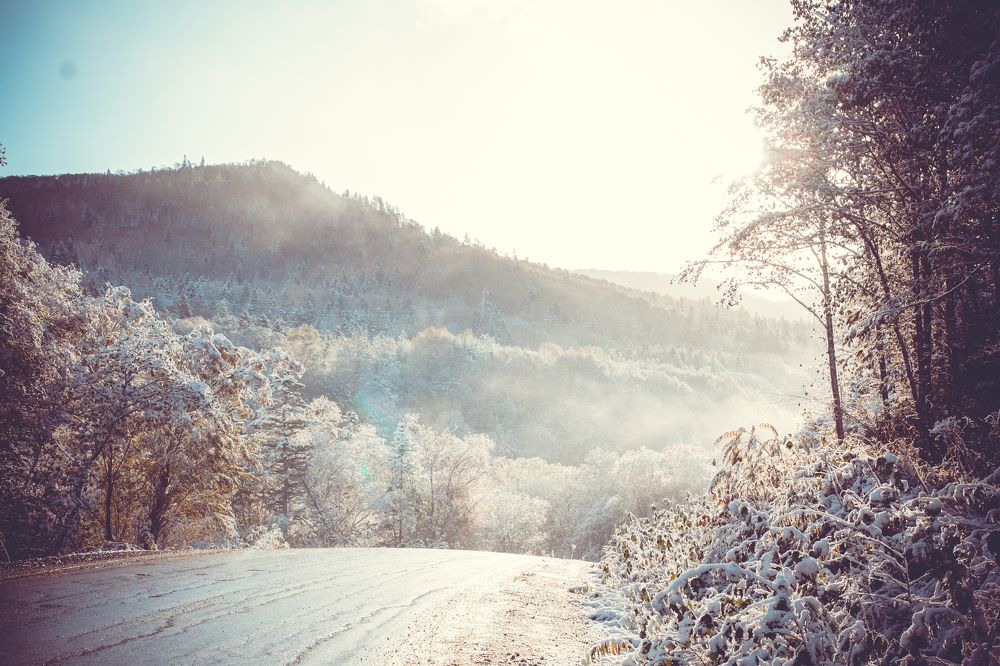 Утренняя дорога