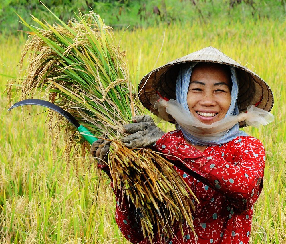 NIỀM VUI NGÀY MÙA