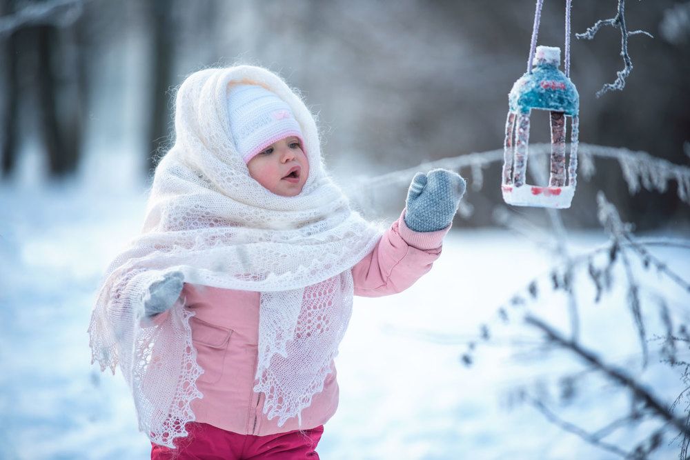 А где птички?