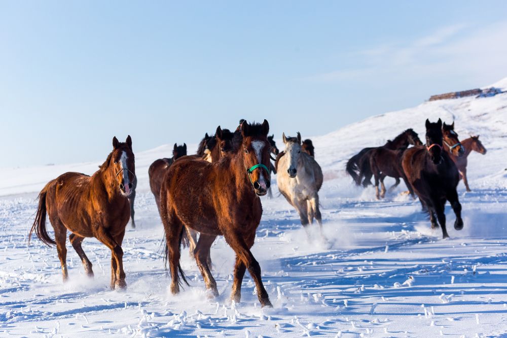Ну привет, кататься будем !!!