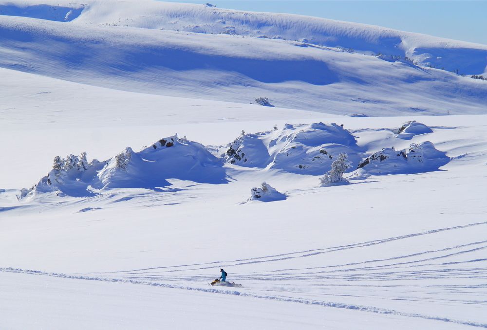 Проходной Белок