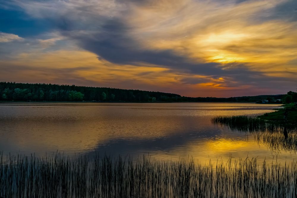 Тихий вечер