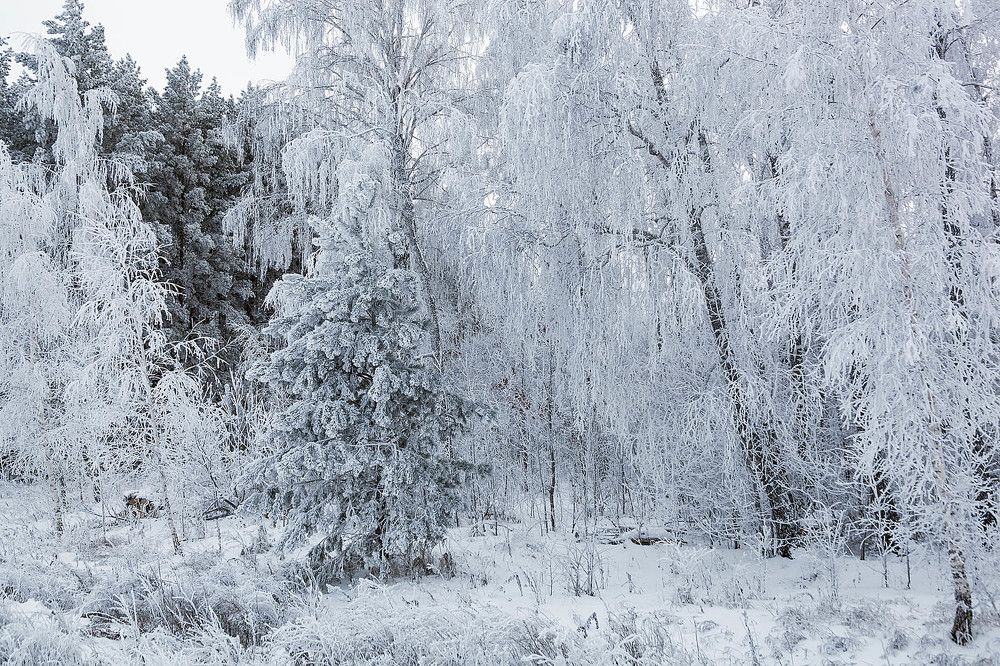 Русская зима