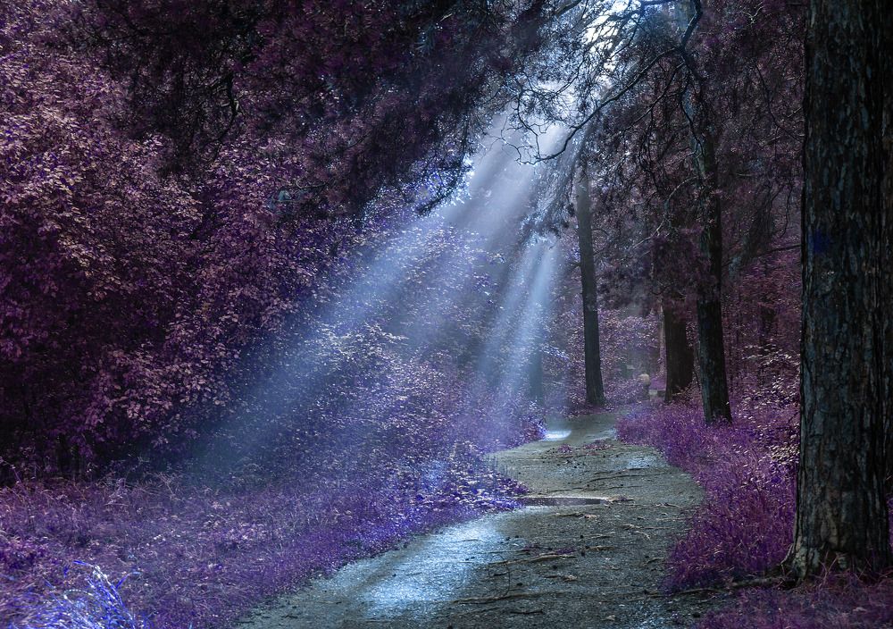 Photograph by Виктор Петров