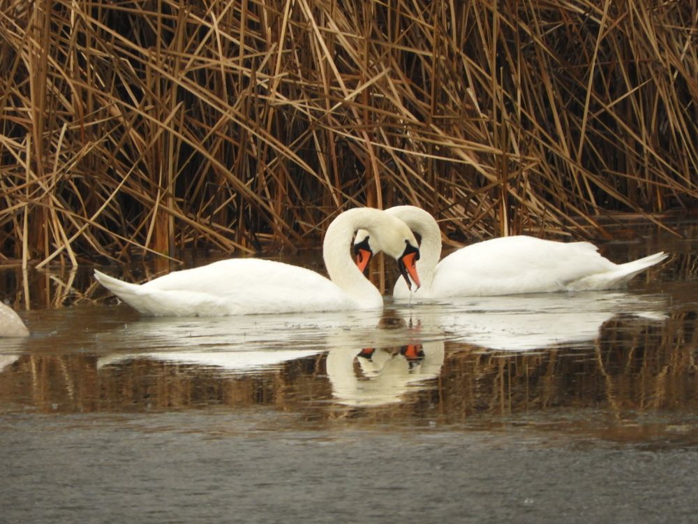Фотография автора Vitalii Neborak