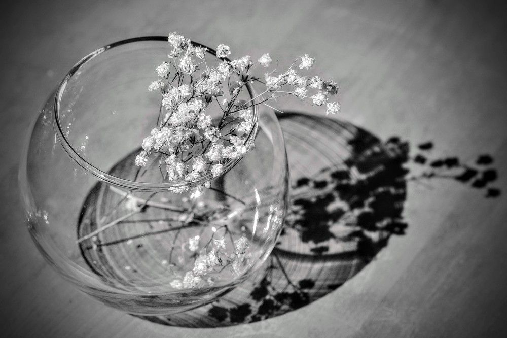 Photograph by Елена Боржковская