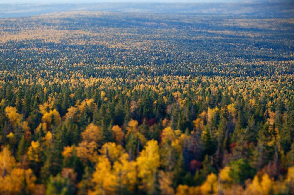 Photograph by Анатолий Васильев