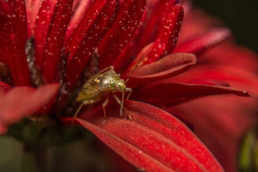 Photograph by Павел