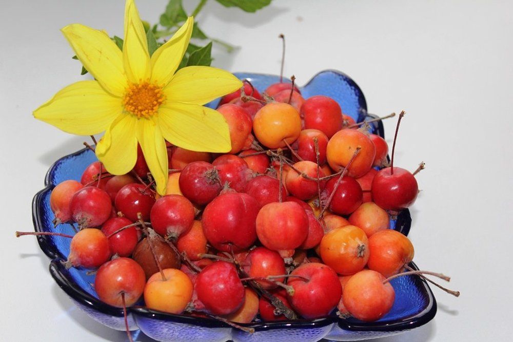 Осенний натюрморт.